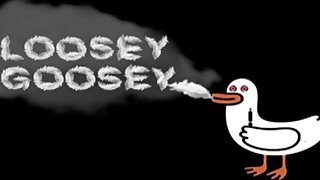 Died From Fall Damage